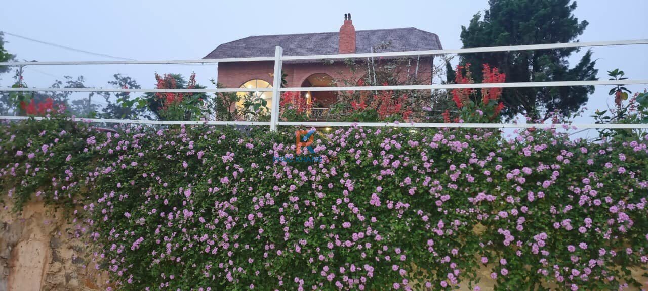 Villas lợp Tranh nhân tạo cực đỉnh tại Bảo Lộc Lâm Đồng